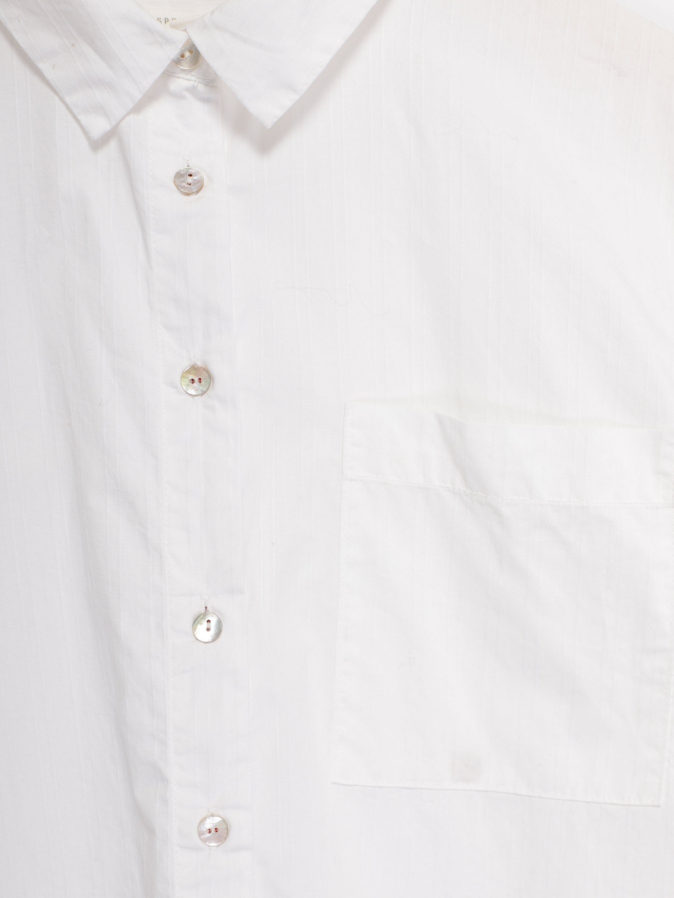 Блуза SPRINGFIELD модель 6795595_білий Фото