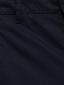 Штани повсякденні SPRINGFIELD модель 6836550_т.синій Фото