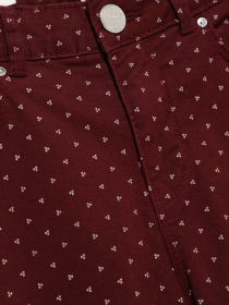 Штани повсякденні SPRINGFIELD модель 6837468_бордовий комб. Фото