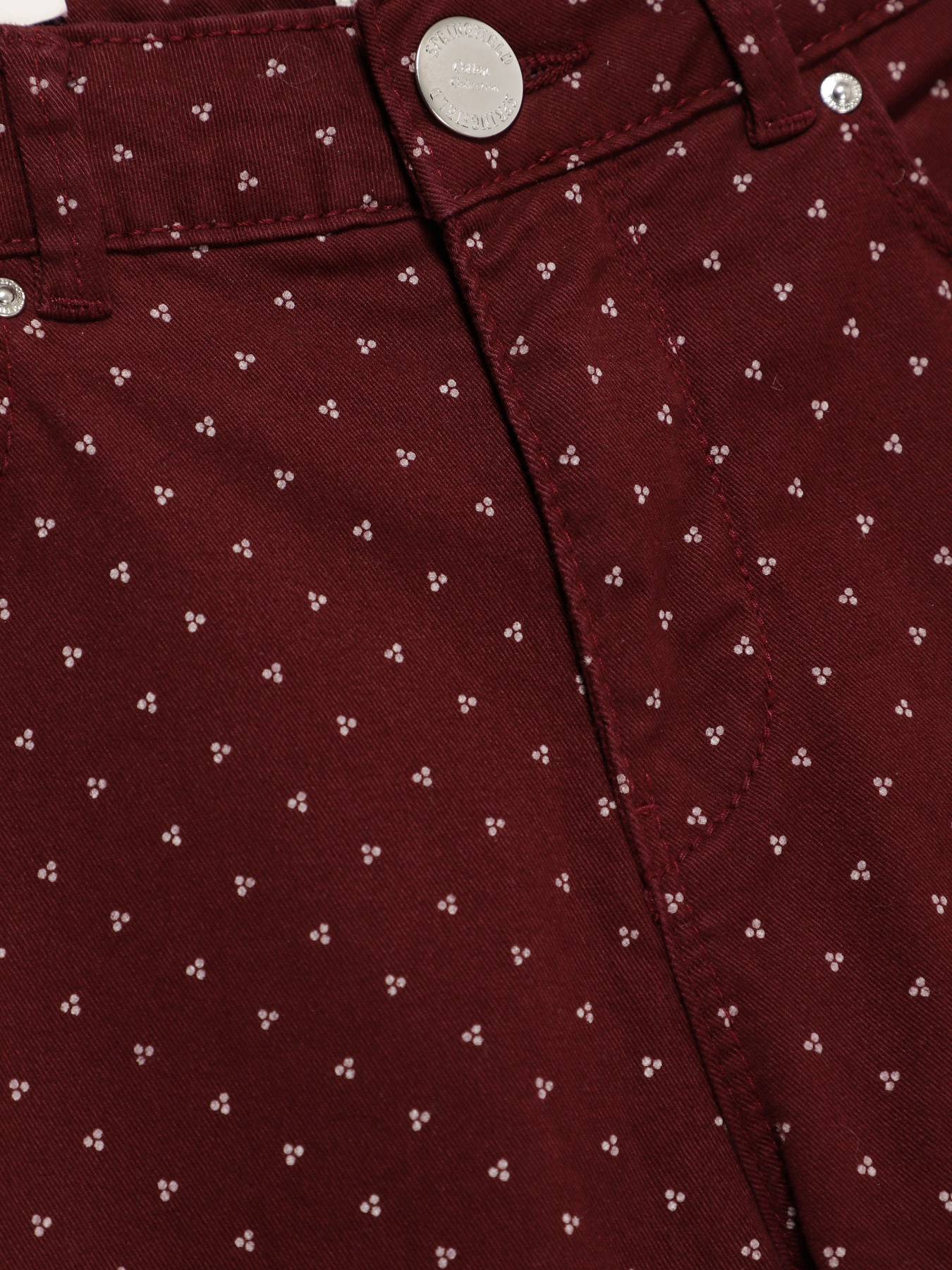 Повсякденні штани SPRINGFIELD модель 6837468_бордовий комб. Фото