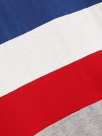 Лонгслів SPRINGFIELD модель 8836345_сірий комб. Фото