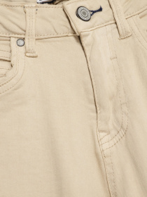 Брюки повседневные SPRINGFIELD модель 0398764_бежевий комб. Фото