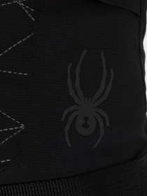 Перчатки Spyder модель 38197004-001 Фото