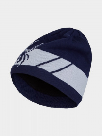 Шапка Spyder модель 38217110-416 Фото