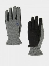 Перчатки Spyder модель 38197018-029 Фото