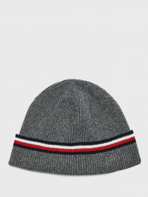 Шапка Tommy Hilfiger SIGNATURE модель AM0AM06713-0IX Фото