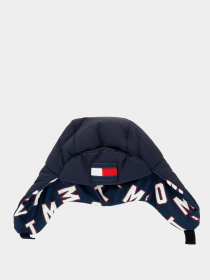 Шапка Tommy Hilfiger модель AM0AM06456-C87 Фото