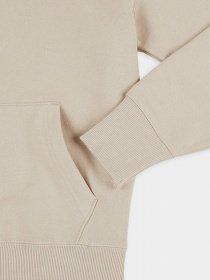 Худи Tommy Hilfiger модель DM0DM06593-ABM Фото