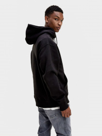 Худи Tommy Hilfiger модель DM0DM06593-BDS Фото