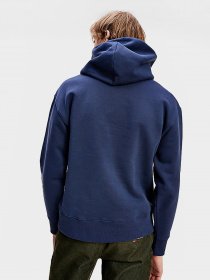 Худи Tommy Hilfiger модель DM0DM06593-C87 Фото