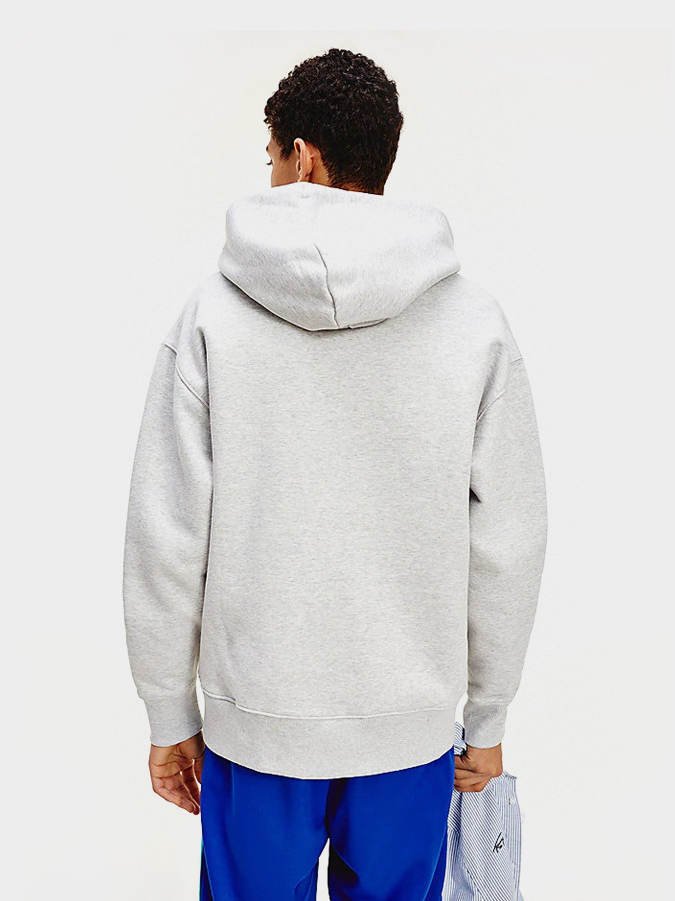 Худи Tommy Hilfiger модель DM0DM06593-PJ4 Фото