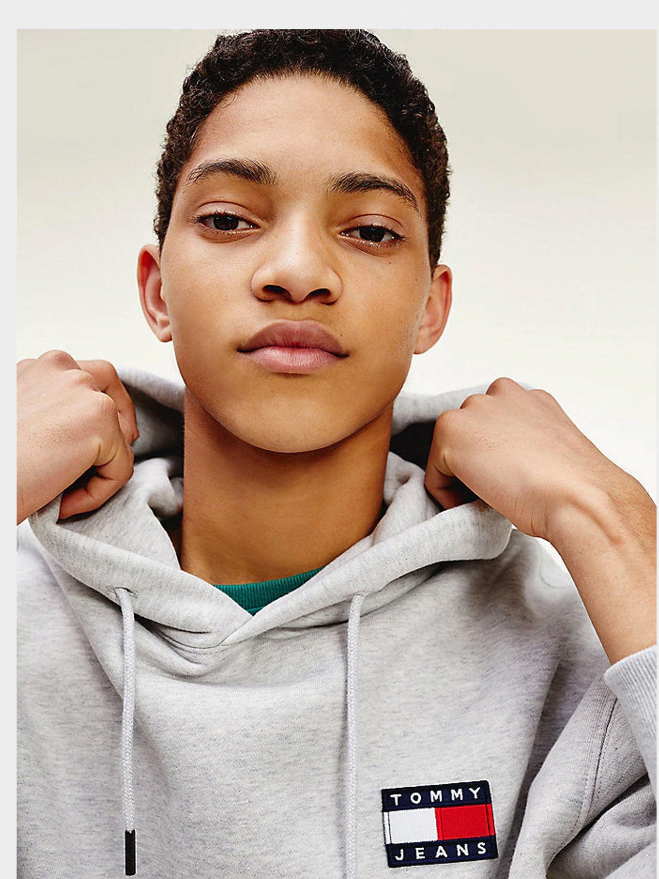 Худи Tommy Hilfiger модель DM0DM06593-PJ4 Фото