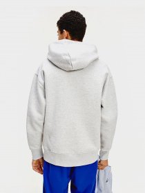 Худи Tommy Hilfiger модель DM0DM06593-PJ4 Фото