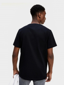 Футболки и поло Tommy Hilfiger BADGE модель DM0DM06595-BDS Фото