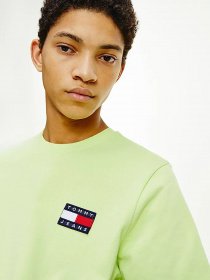 Футболки и поло Tommy Hilfiger модель DM0DM06595-LT3 Фото