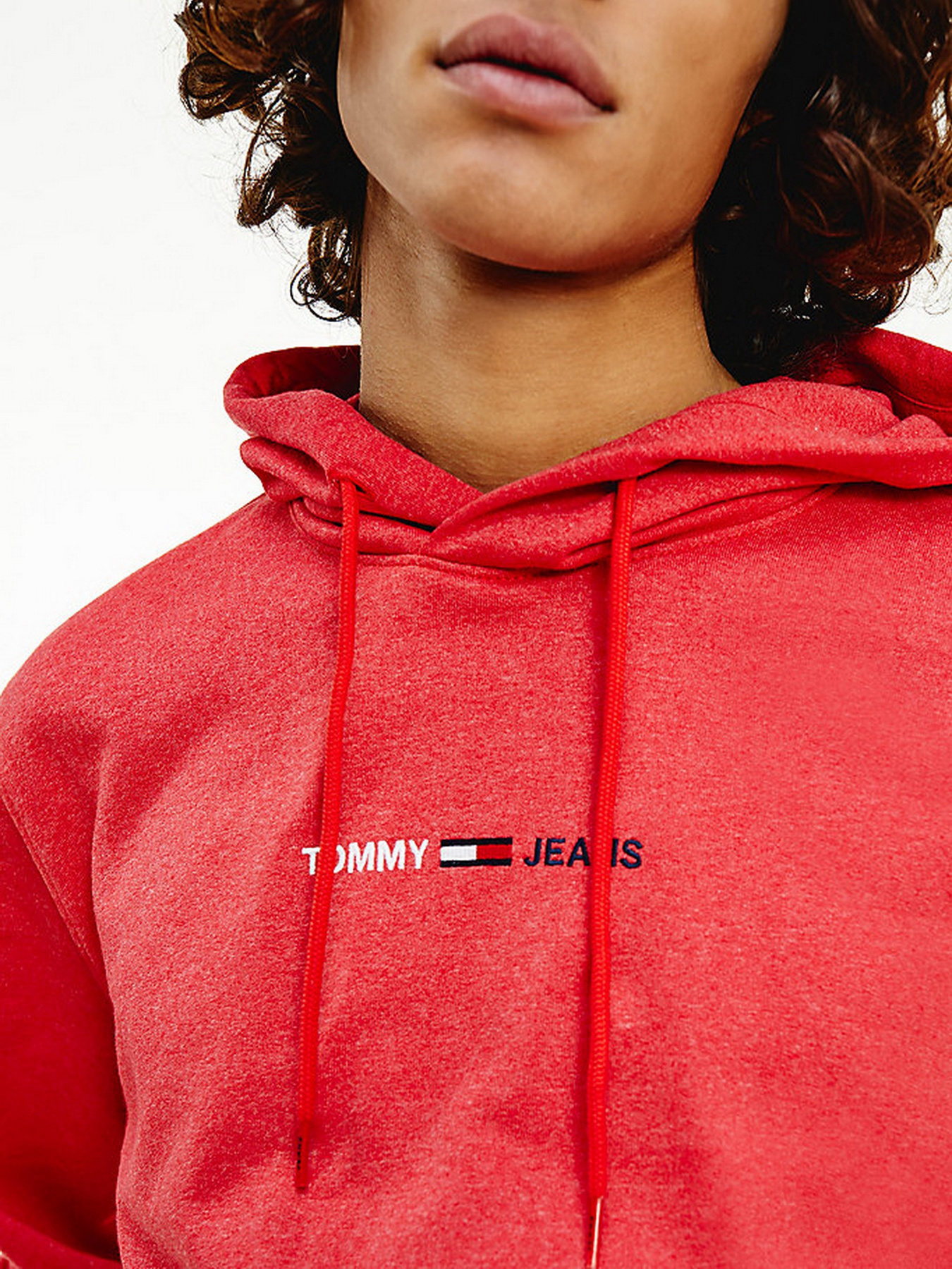 Худі Tommy Hilfiger модель DM0DM10190-TWB Фото