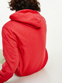 Худі Tommy Hilfiger модель DM0DM10190-TWB Фото