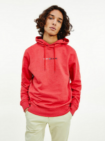 Худі Tommy Hilfiger модель DM0DM10190-TWB Фото