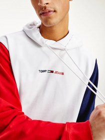 Худи Tommy Hilfiger модель DM0DM10195-YBR Фото