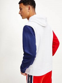 Худі Tommy Hilfiger модель DM0DM10195-YBR Фото