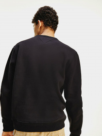 Свитшот Tommy Hilfiger модель DM0DM10202-BDS Фото