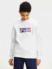 Свитшот Tommy Hilfiger модель DM0DM10202-YBR Фото