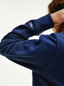 Худі Tommy Hilfiger модель DM0DM10208-C87 Фото