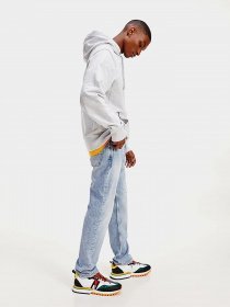 Худи Tommy Hilfiger модель DM0DM10208-PJ4 Фото