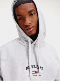 Худи Tommy Hilfiger модель DM0DM10208-PJ4 Фото