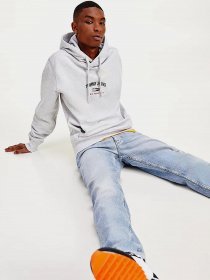 Худи Tommy Hilfiger модель DM0DM10208-PJ4 Фото