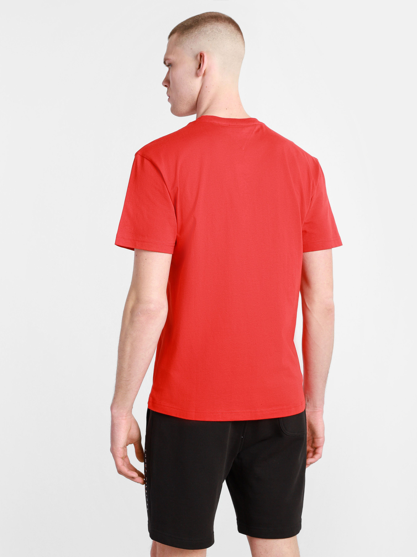 Футболки и поло Tommy Hilfiger модель DM0DM10219-XNL Фото