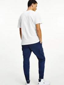 Футболки і поло Tommy Hilfiger модель DM0DM10219-YBR Футболки і поло Tommy Hilfiger модель DM0DM10219-YBR Фото