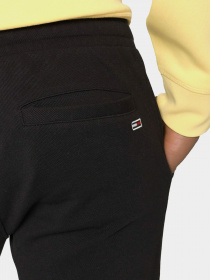 Штаны спортивные Tommy Hilfiger Scanton модель DM0DM10605-BDS Фото