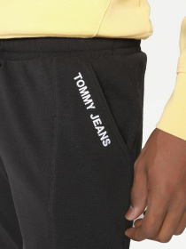 Штаны спортивные Tommy Hilfiger Scanton модель DM0DM10605-BDS Фото