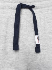 Штаны спортивные Tommy Hilfiger Scanton модель DM0DM10605-P01 Фото