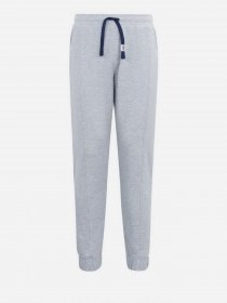 Штаны спортивные Tommy Hilfiger Scanton модель DM0DM10605-P01 Фото