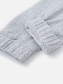 Штаны спортивные Tommy Hilfiger Scanton модель DM0DM10605-P01 Фото