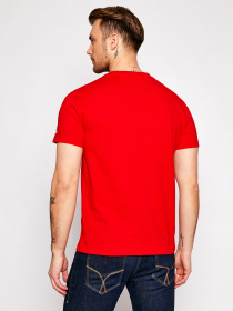 Футболки и поло Tommy Hilfiger модель DM0DM10620-XNL Фото