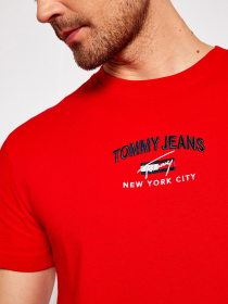 Футболки и поло Tommy Hilfiger модель DM0DM10620-XNL Фото