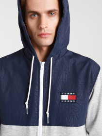 Худи Tommy Hilfiger модель DM0DM10717-P01 Фото