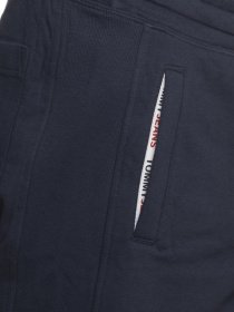 Шорты Tommy Hilfiger модель DM0DM10741-C87 Фото