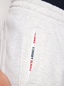 Шорты Tommy Hilfiger модель DM0DM10741-PJ4 Фото