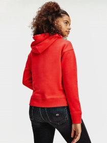 Худи Tommy Hilfiger модель DW0DW07787-XNL Фото