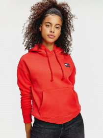 Худі Tommy Hilfiger модель DW0DW07787-XNL Фото