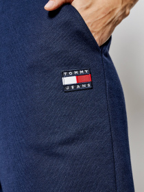 Штаны спортивные Tommy Hilfiger модель DW0DW09740-C87 Фото