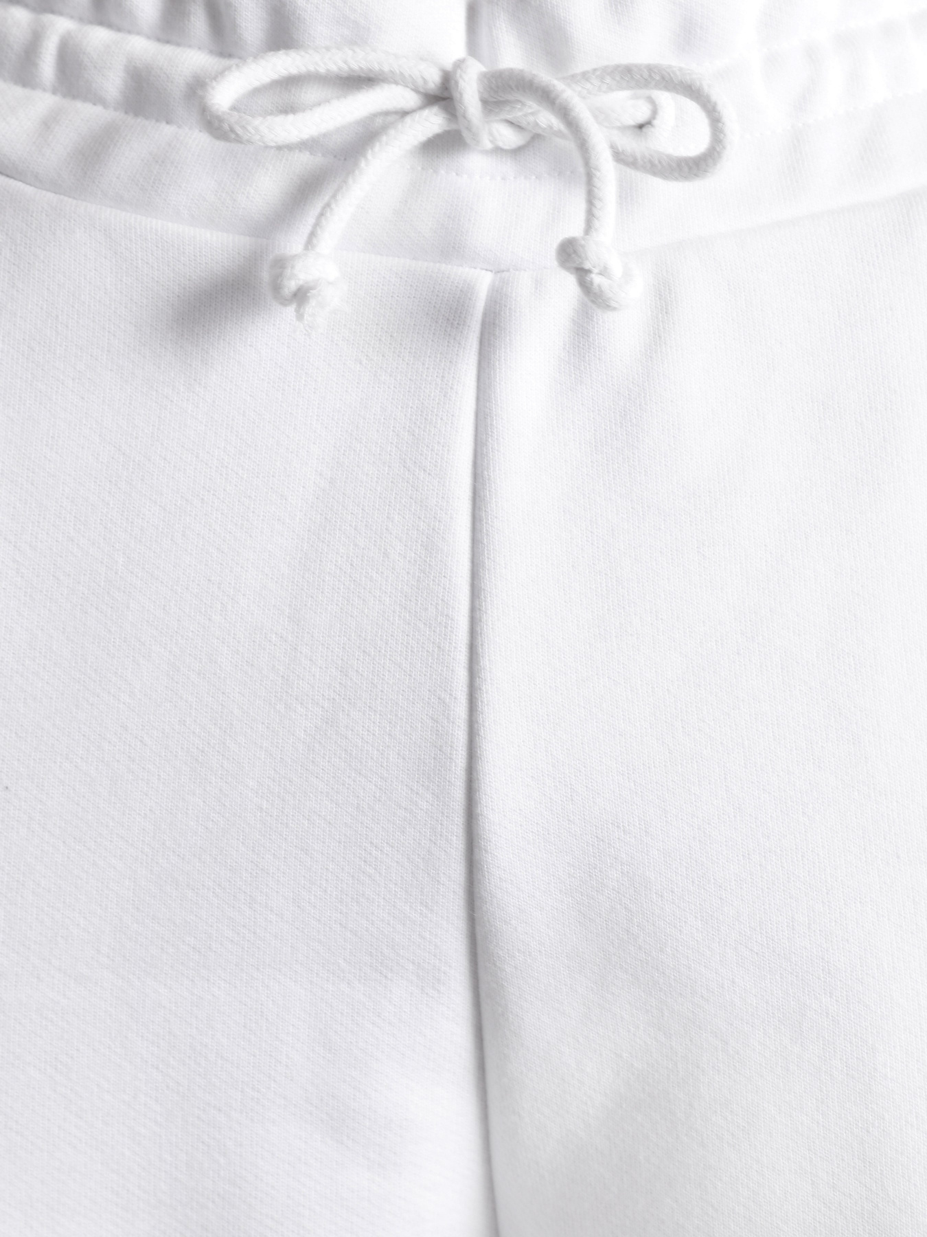 Штаны спортивные Tommy Hilfiger модель DW0DW09740-YBR Фото