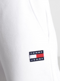 Штаны спортивные Tommy Hilfiger модель DW0DW09740-YBR Фото