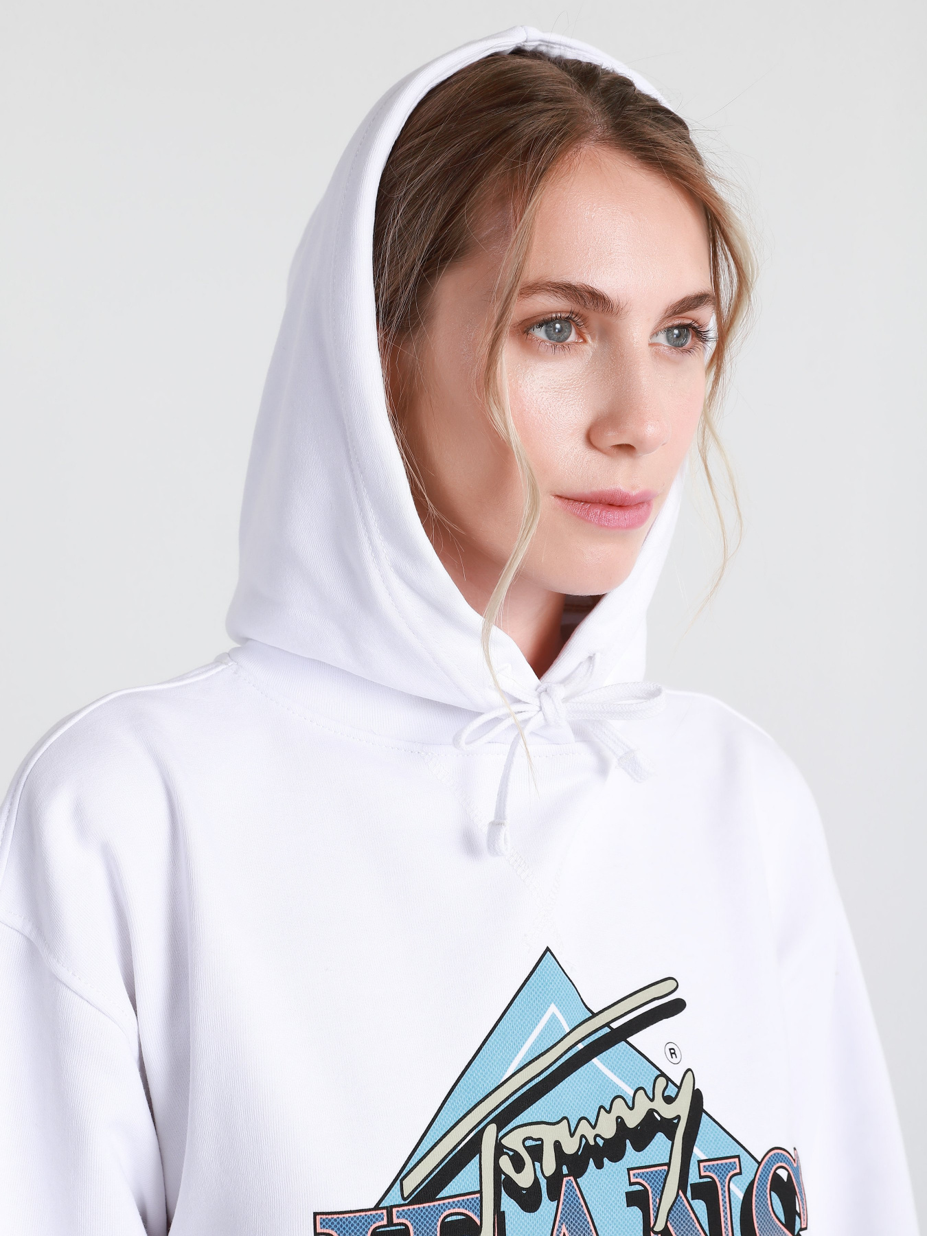 Худи Tommy Hilfiger модель DW0DW09796-YBR Фото