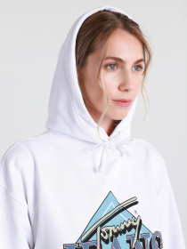 Худи Tommy Hilfiger модель DW0DW09796-YBR Фото