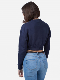 Свитшот Tommy Hilfiger модель DW0DW09797-C87 Фото